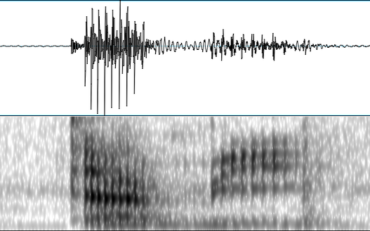Spectrogram and waveform image.